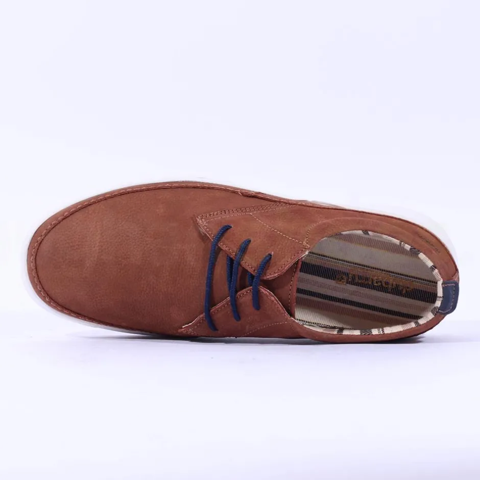 Dubarry Men Sully Laced Casual Shoe - Tan