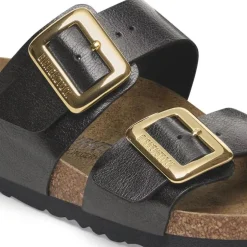 Women Birkenstock Sydney Cushion Buckle Bf - Graceful Licorice