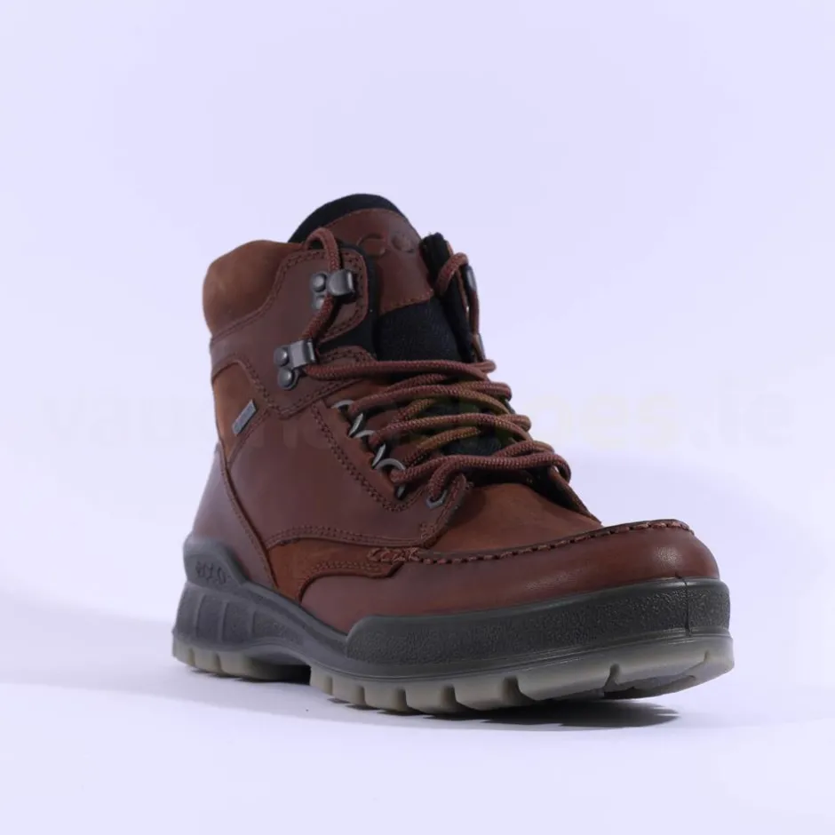 Ecco Men Track 25 Goretex Boot - Bison Bison
