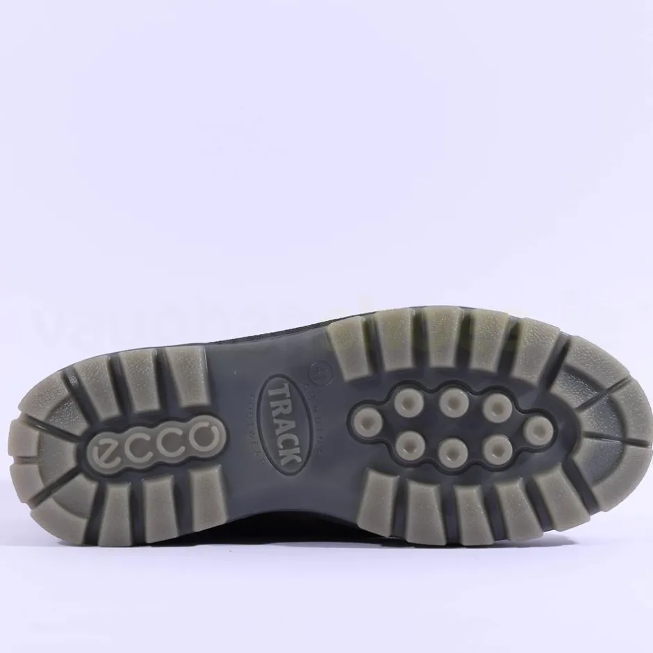 Ecco Men Track 25 Goretex Boot - Bison Bison