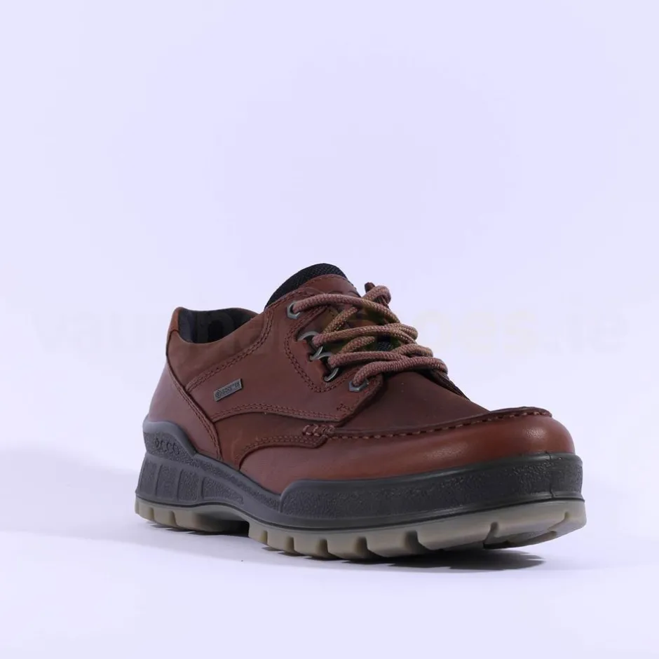 Ecco Men Track 25 Shoe - Brown