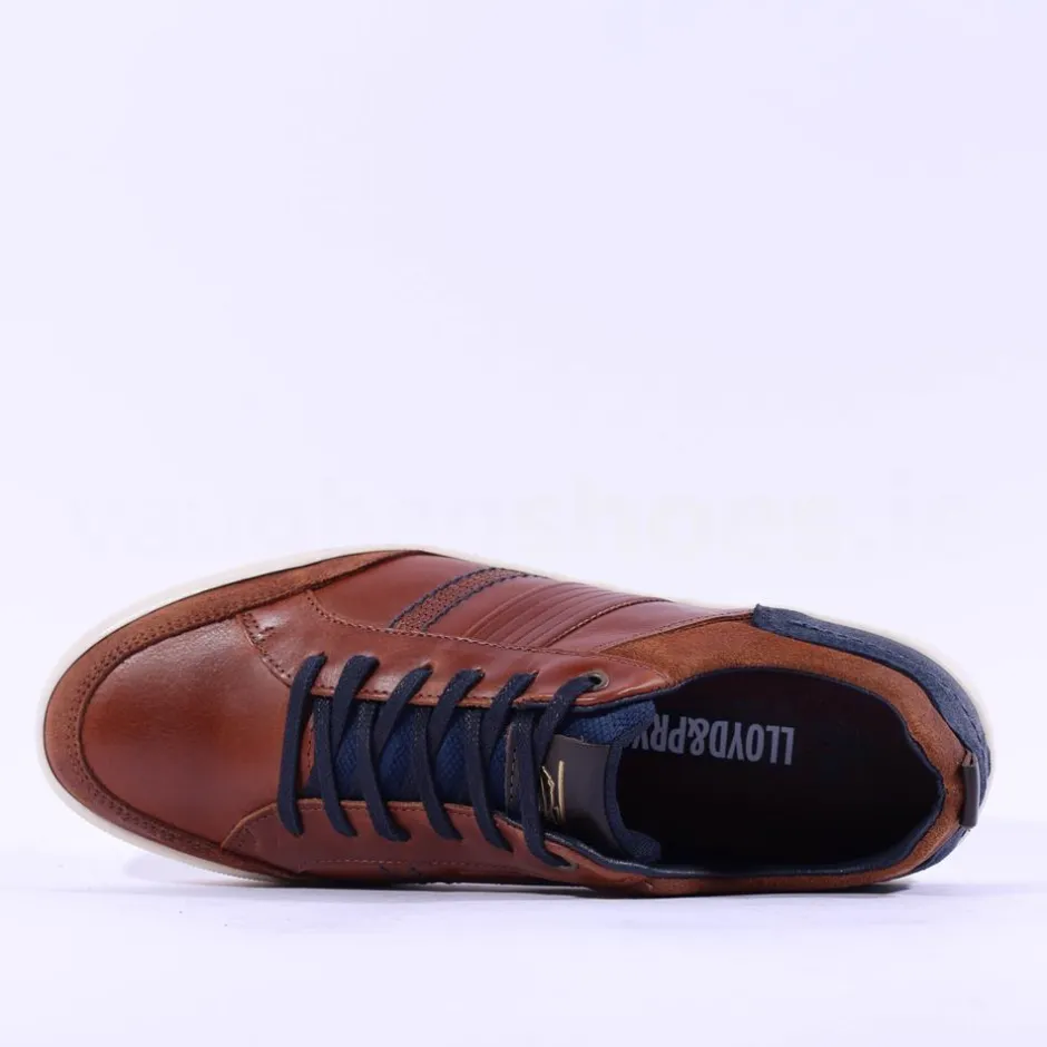 Tommy Bowe X Armstrong Laced Casual Shoe - Tan Leather